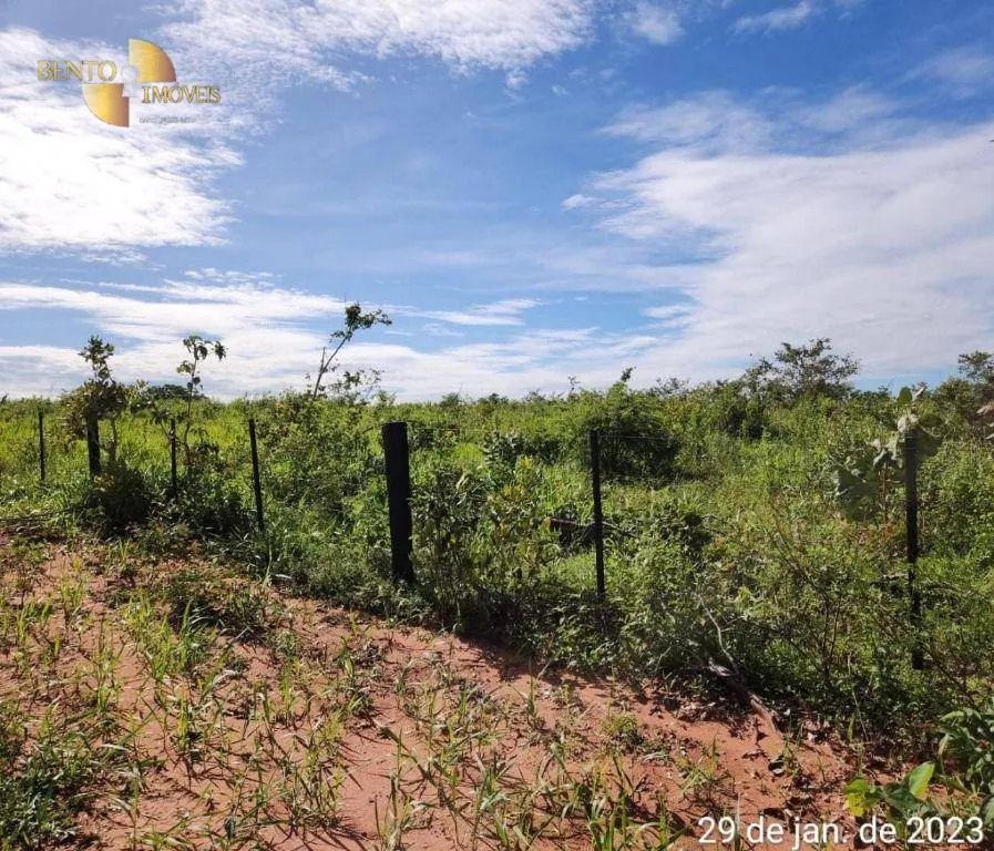 Farm for sale of 2,871 acres in Guiratinga, MT, Brazil