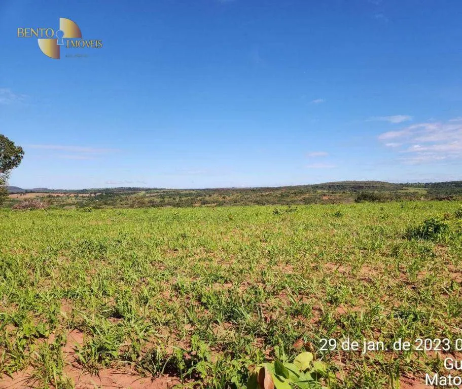 Farm for sale of 2,871 acres in Guiratinga, MT, Brazil