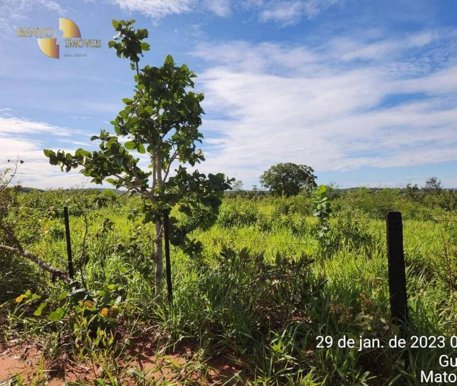 Farm for sale of 2,871 acres in Guiratinga, MT, Brazil