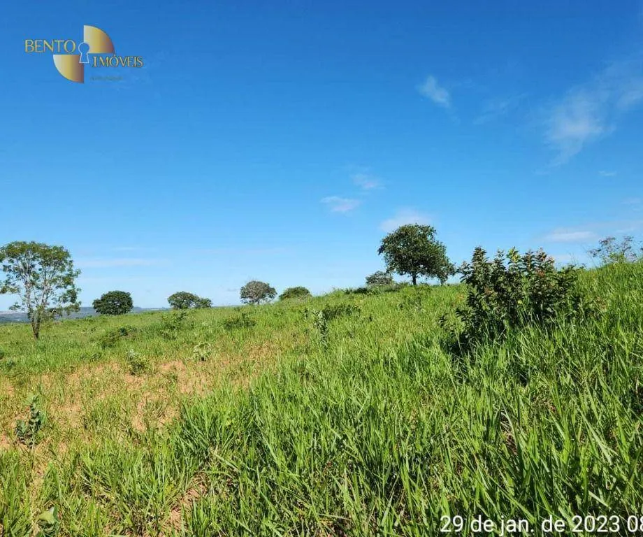 Farm for sale of 2,871 acres in Guiratinga, MT, Brazil