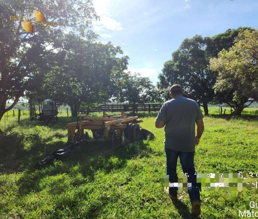 Farm for sale of 2,871 acres in Guiratinga, MT, Brazil