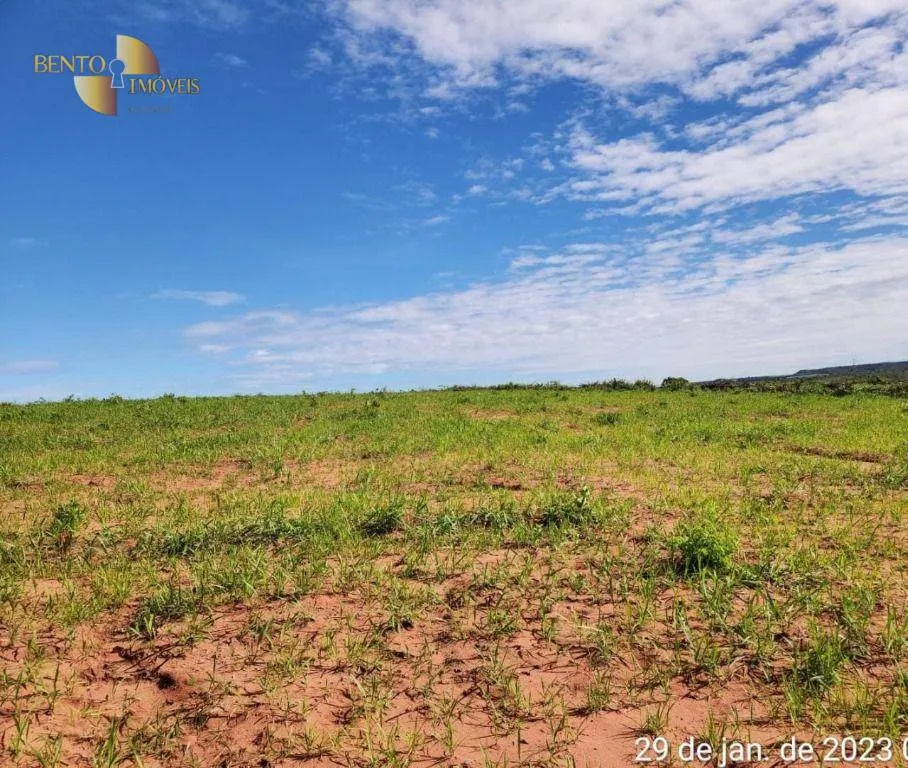 Farm for sale of 2,871 acres in Guiratinga, MT, Brazil