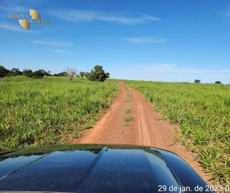 Farm for sale of 2,871 acres in Guiratinga, MT, Brazil
