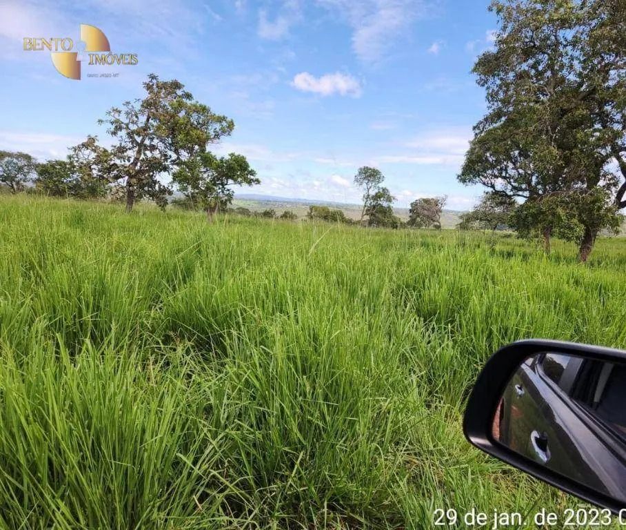 Farm for sale of 2,871 acres in Guiratinga, MT, Brazil