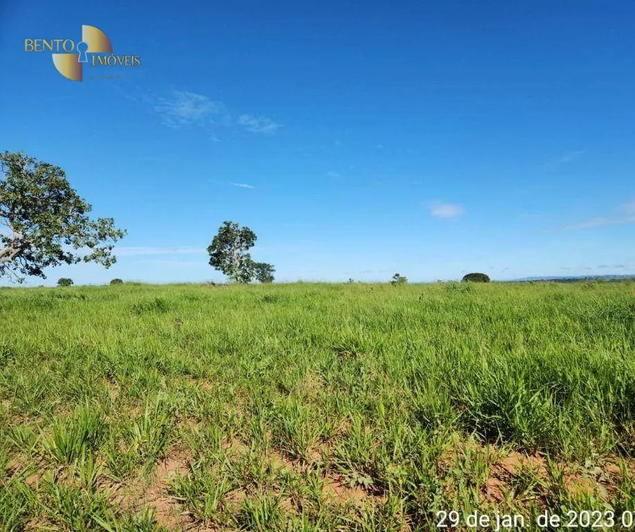 Farm for sale of 2,871 acres in Guiratinga, MT, Brazil