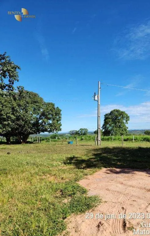 Farm for sale of 2,871 acres in Guiratinga, MT, Brazil