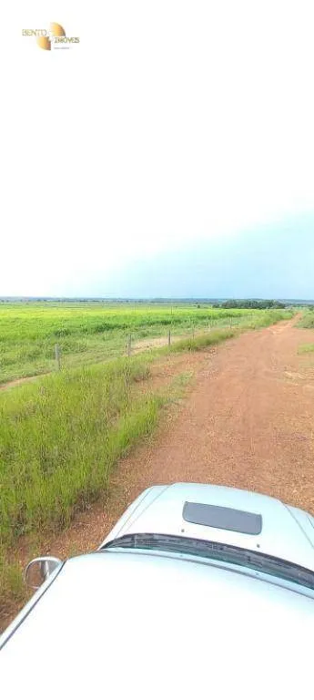 Fazenda à venda de 1.580 ha em Santa Rita do Trivelato, MT, Brasil