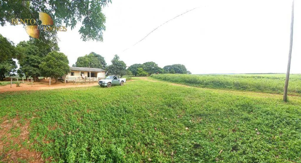 Fazenda à venda de 1.580 ha em Santa Rita do Trivelato, MT, Brasil