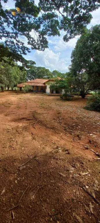Fazenda à venda de 1.580 ha em Santa Rita do Trivelato, MT, Brasil