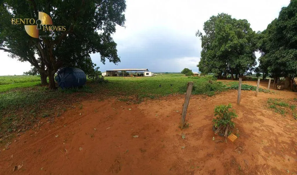 Fazenda à venda de 1.580 ha em Santa Rita do Trivelato, MT, Brasil