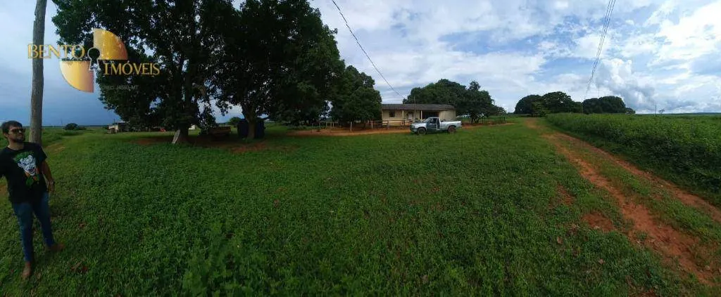 Fazenda à venda de 1.580 ha em Santa Rita do Trivelato, MT, Brasil