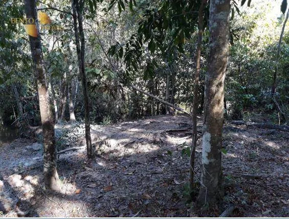 Fazenda à venda de 407 ha em Gaúcha do Norte, MT, Brasil