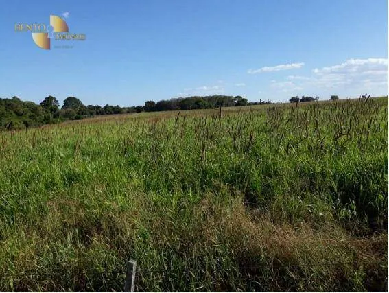 Fazenda à venda de 407 ha em Gaúcha do Norte, MT, Brasil