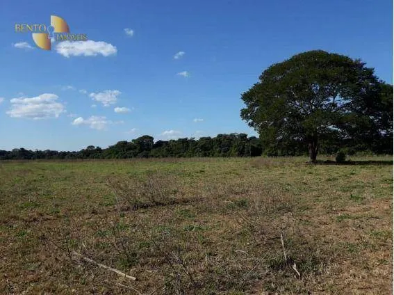 Fazenda à venda de 407 ha em Gaúcha do Norte, MT, Brasil