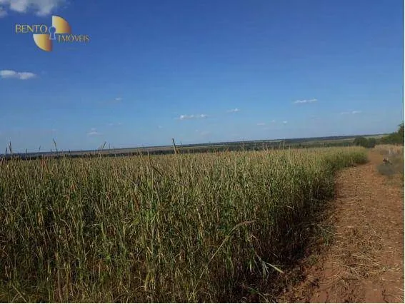 Fazenda à venda de 407 ha em Gaúcha do Norte, MT, Brasil