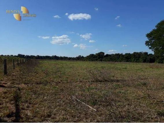 Fazenda à venda de 407 ha em Gaúcha do Norte, MT, Brasil