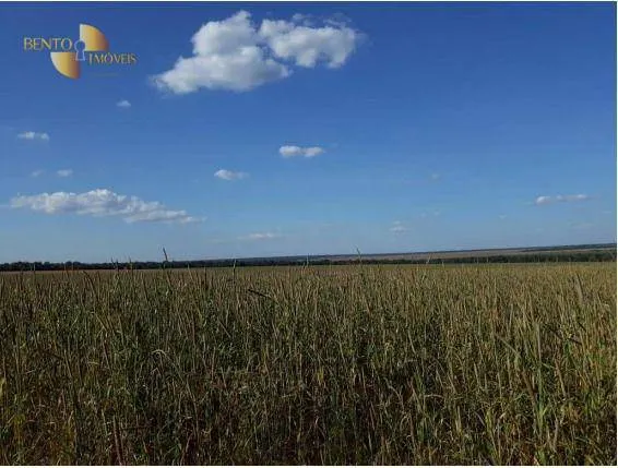 Fazenda à venda de 407 ha em Gaúcha do Norte, MT, Brasil