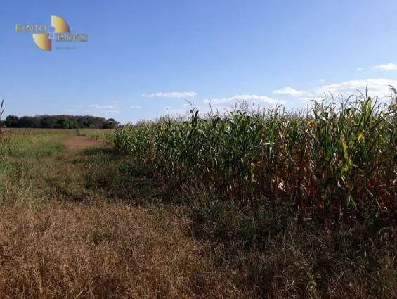 Fazenda à venda de 407 ha em Gaúcha do Norte, MT, Brasil