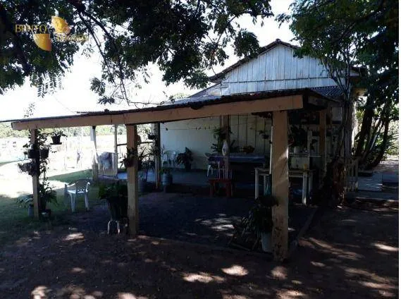 Fazenda à venda de 407 ha em Gaúcha do Norte, MT, Brasil