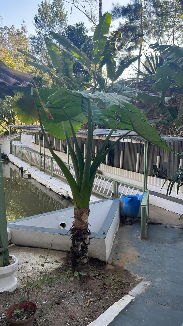 Chácara à venda de 3 ha em São José dos Campos, SP, Brasil