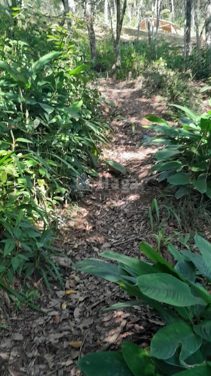 Country home for sale of 2,947 m² in Itajaí, SC, Brazil