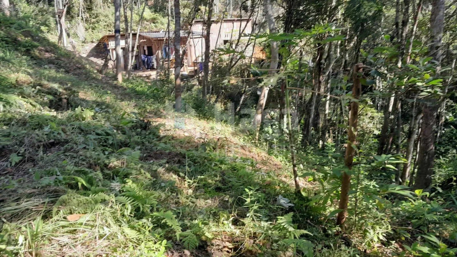Country home for sale of 2,947 m² in Itajaí, SC, Brazil