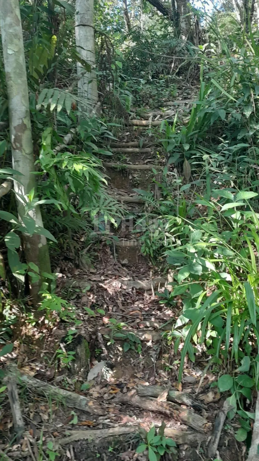 Country home for sale of 2,947 m² in Itajaí, SC, Brazil