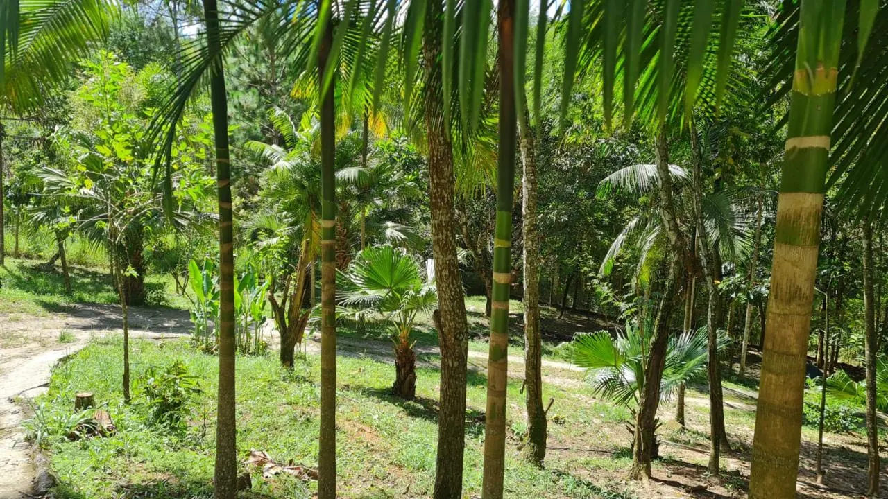 Country home for sale of 11 acres in Mogi das Cruzes, SP, Brazil