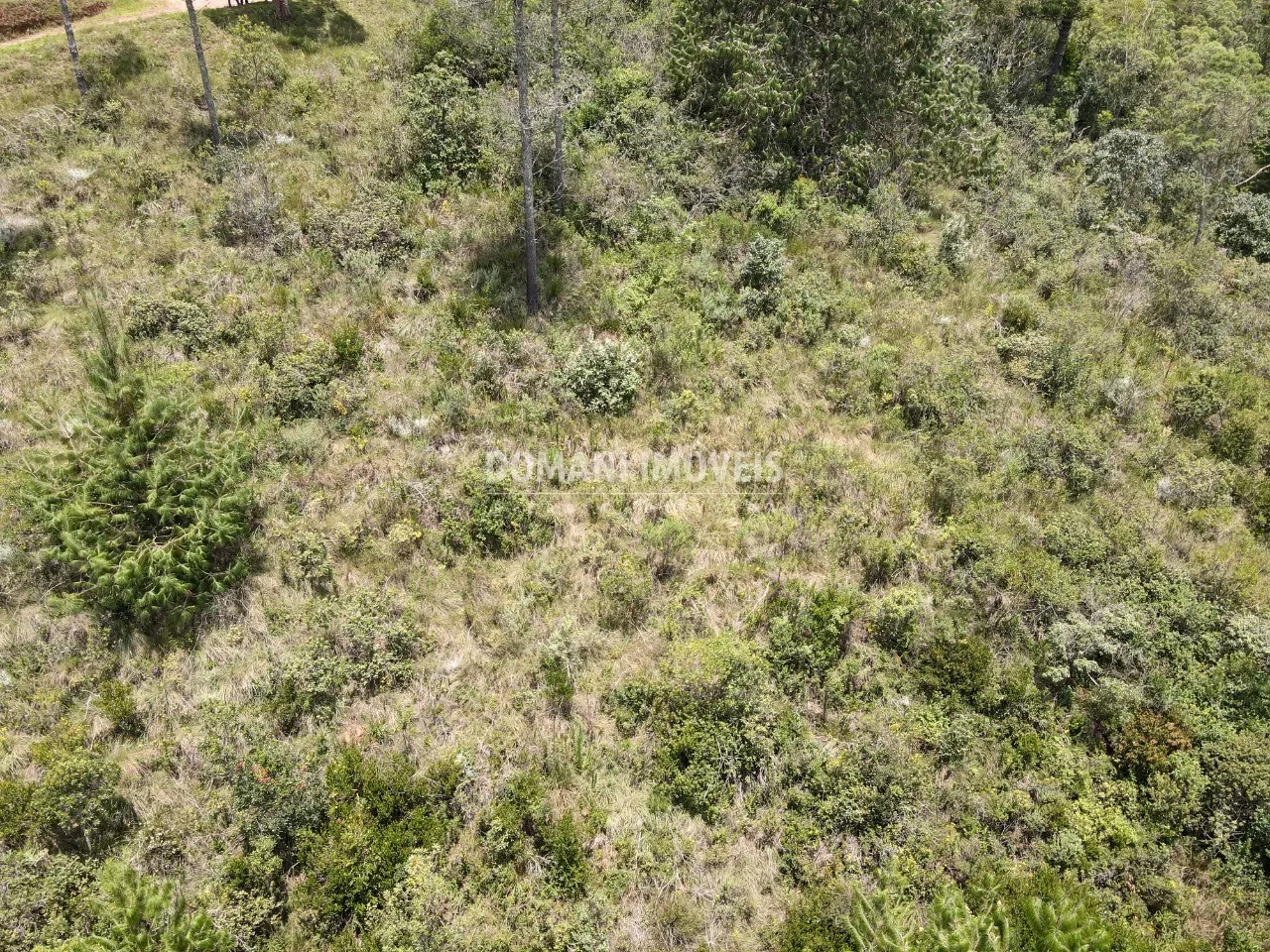 Terreno à venda de 1.370 m² em Campos do Jordão, SP, Brasil