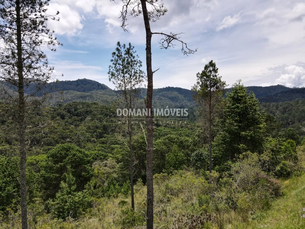 Terreno à venda de 1.370 m² em Campos do Jordão, SP, Brasil