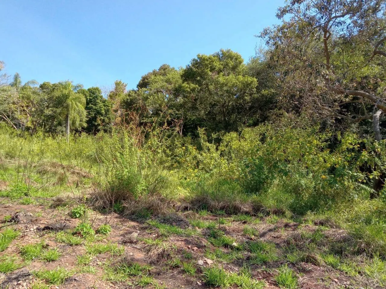 Terreno à venda de 4.000 m² em Piraju, SP, Brasil