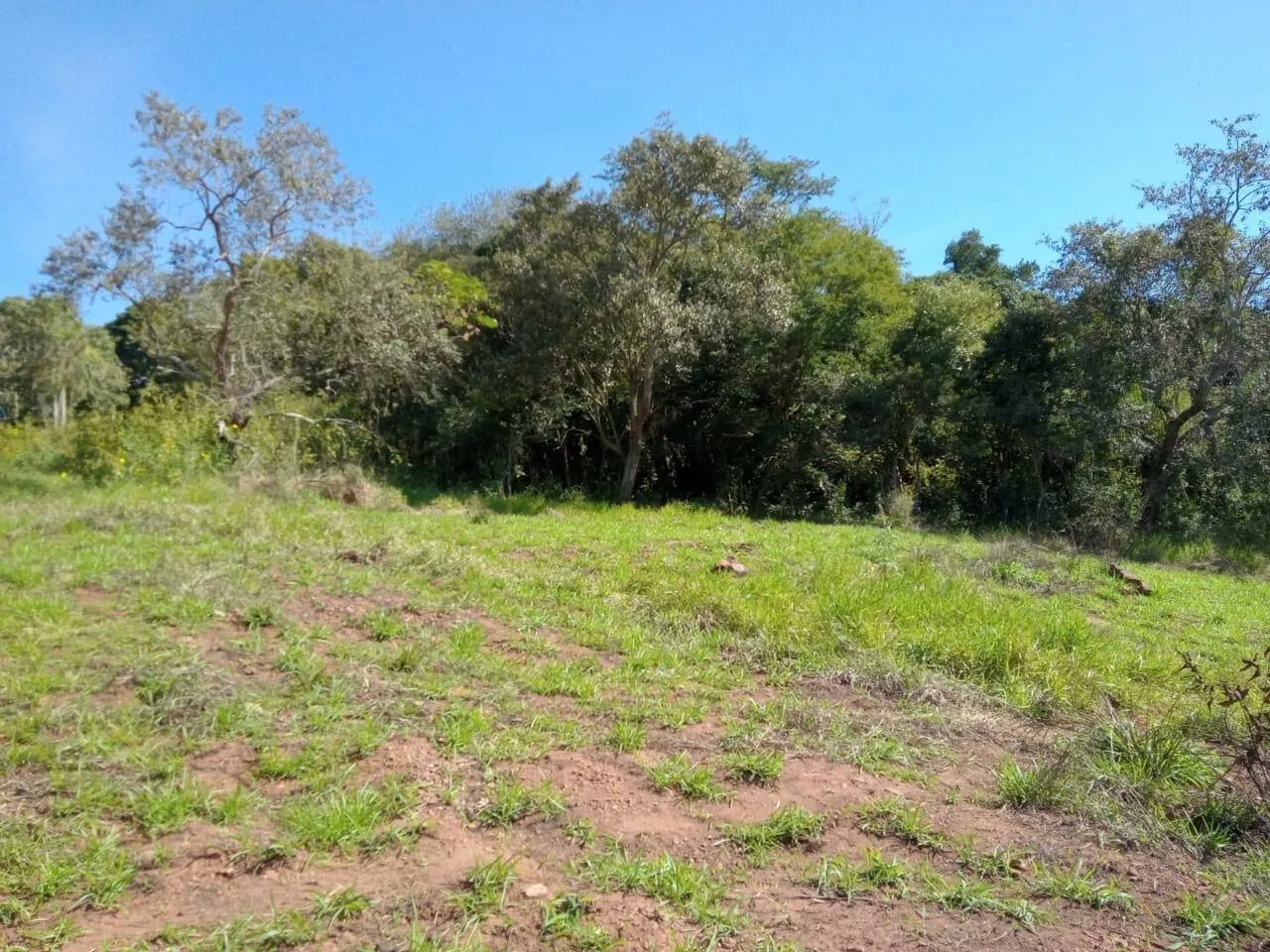 Terreno à venda de 4.000 m² em Piraju, SP, Brasil