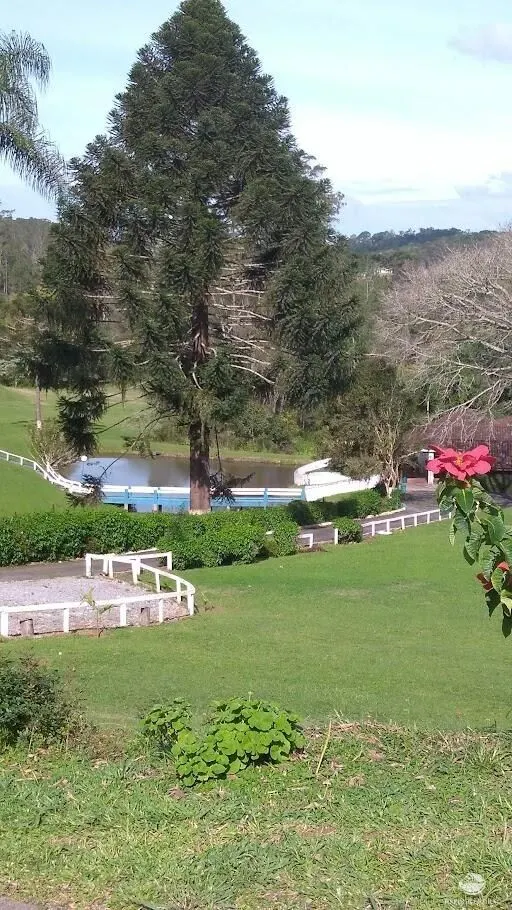 Small farm for sale of 11 acres in São Lourenço da Serra, SP, Brazil