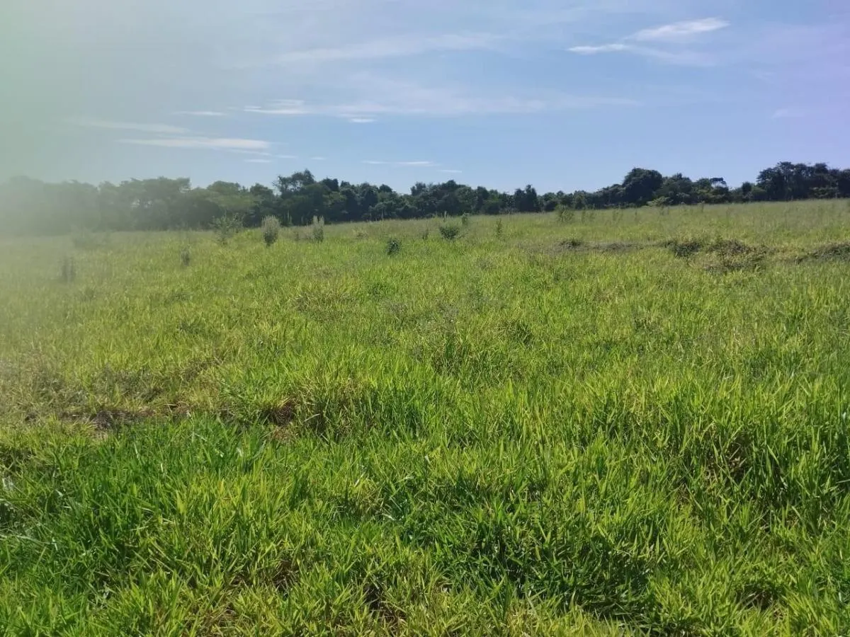 Small farm for sale of 63 acres in Cássia dos Coqueiros, SP, Brazil