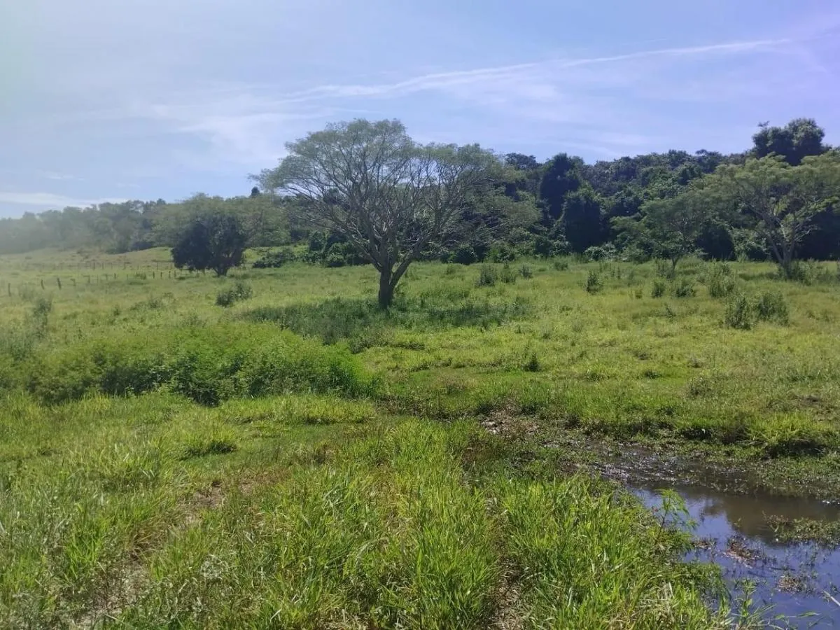 Small farm for sale of 63 acres in Cássia dos Coqueiros, SP, Brazil