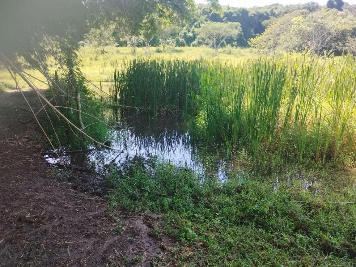 Small farm for sale of 63 acres in Cássia dos Coqueiros, SP, Brazil