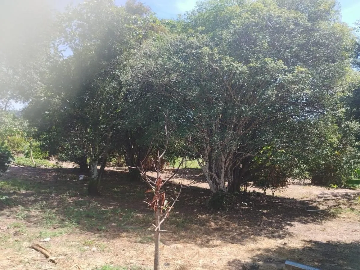 Small farm for sale of 63 acres in Cássia dos Coqueiros, SP, Brazil