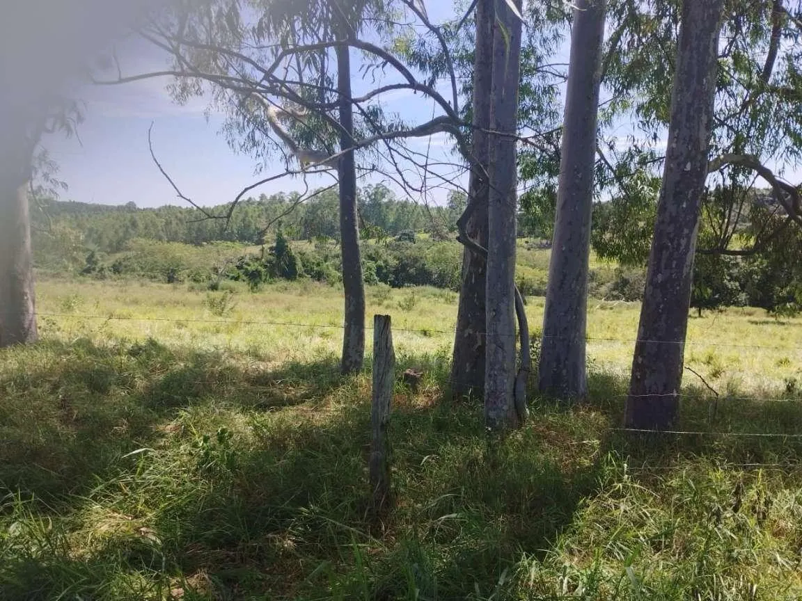 Small farm for sale of 63 acres in Cássia dos Coqueiros, SP, Brazil