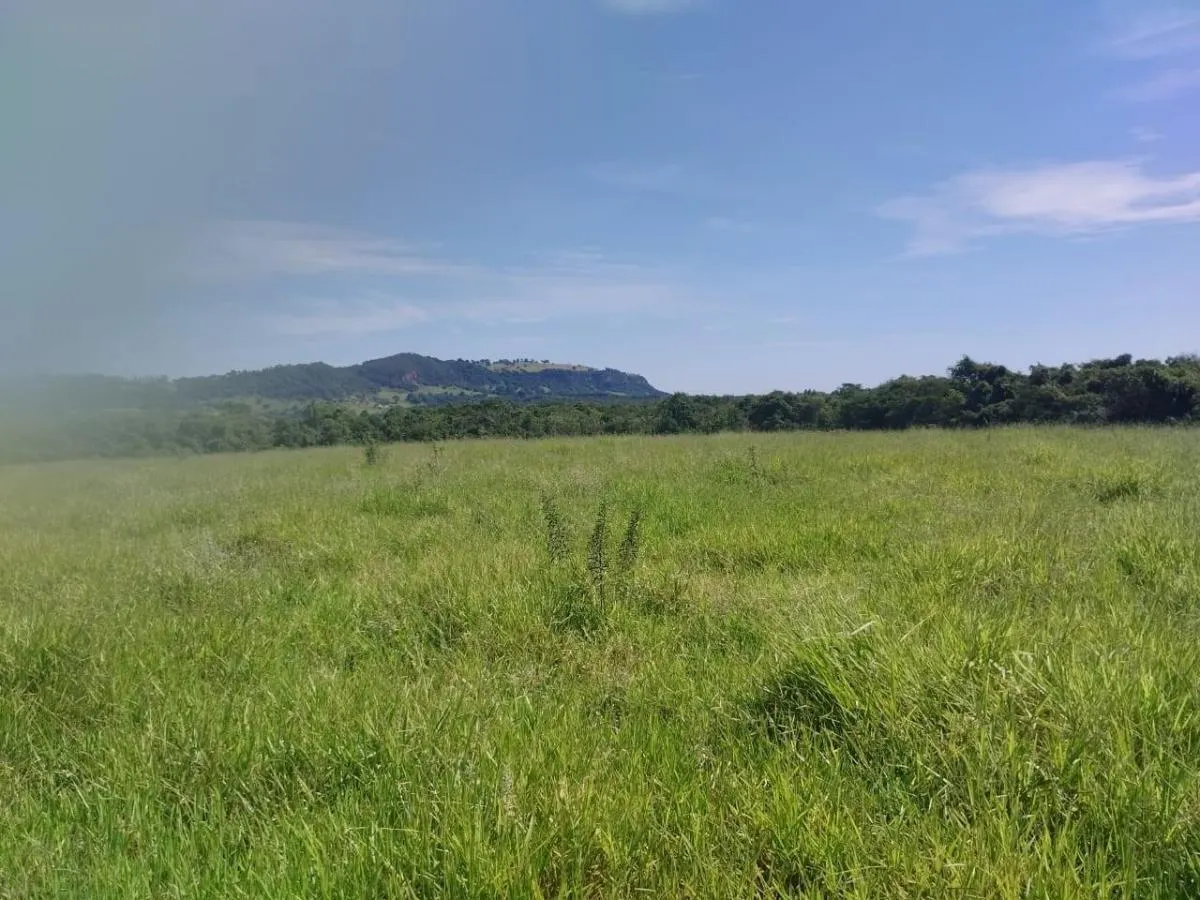 Small farm for sale of 63 acres in Cássia dos Coqueiros, SP, Brazil
