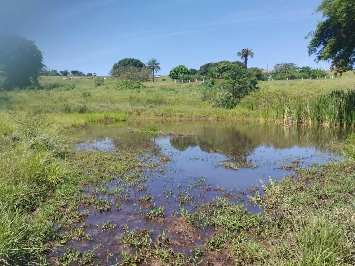 Small farm for sale of 63 acres in Cássia dos Coqueiros, SP, Brazil