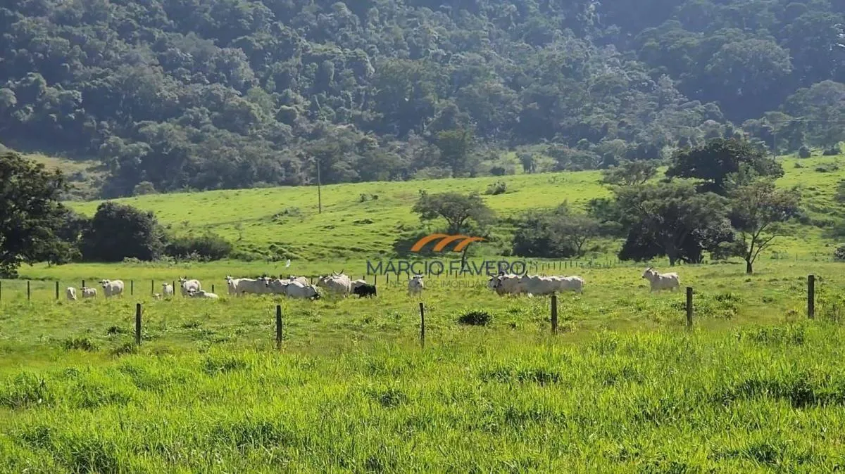 Fazenda à venda de 211 ha em Brotas, SP, Brasil