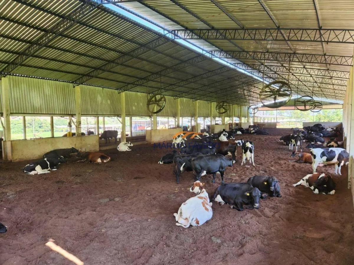 Fazenda à venda de 211 ha em Brotas, SP, Brasil