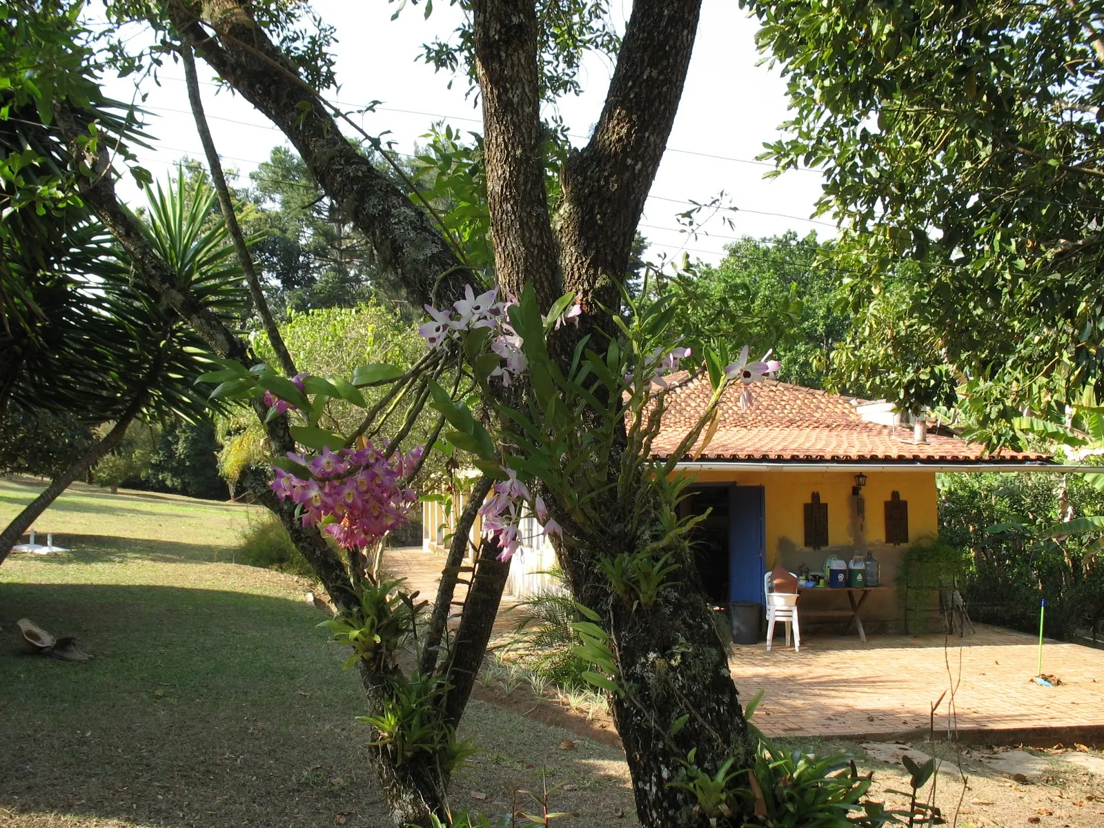 Sítio à venda de 27 ha em Queluzito, MG, Brasil