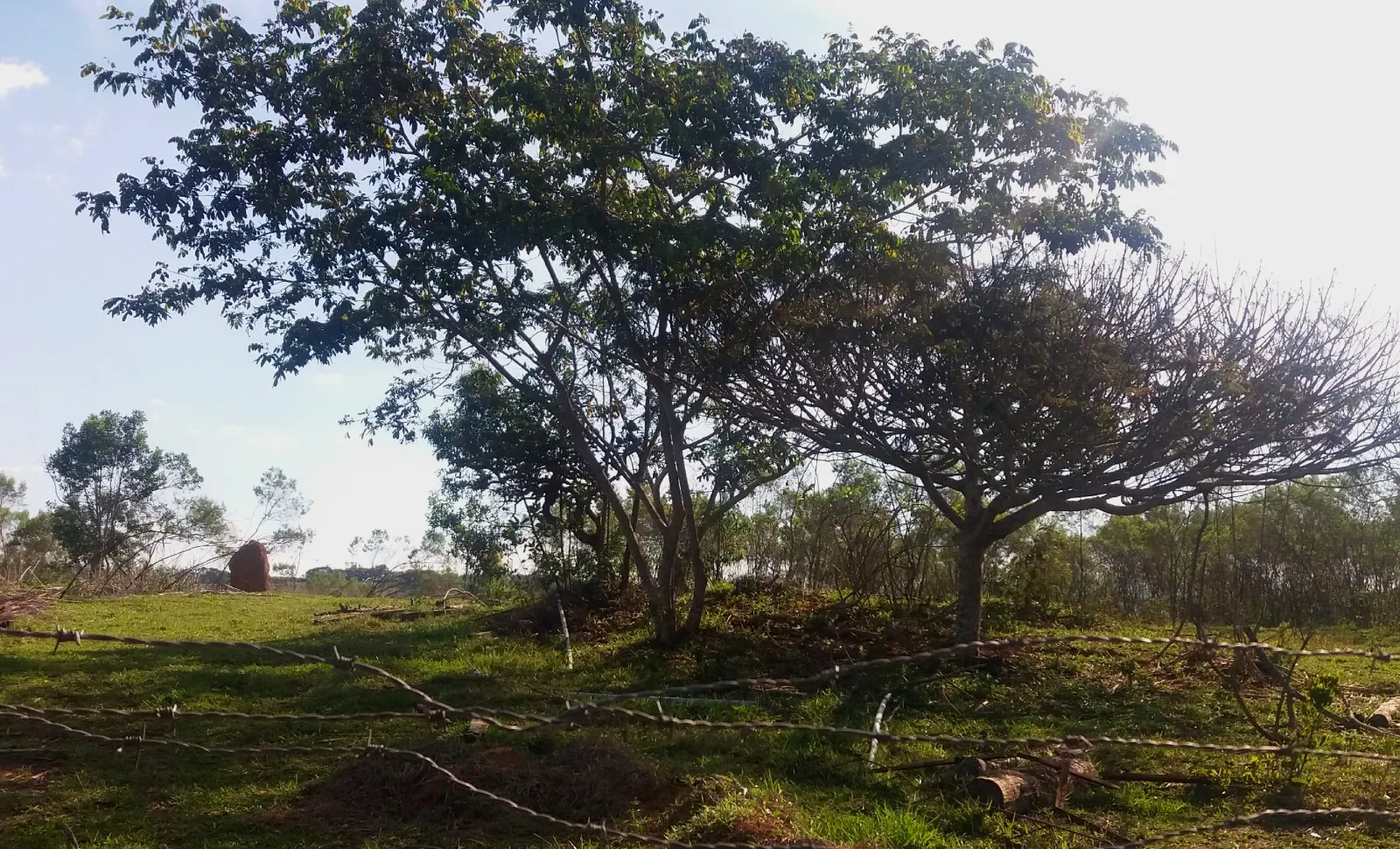 Sítio à venda de 27 ha em Queluzito, MG, Brasil