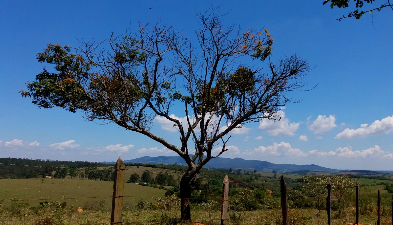 Sítio à venda de 27 ha em Queluzito, MG, Brasil