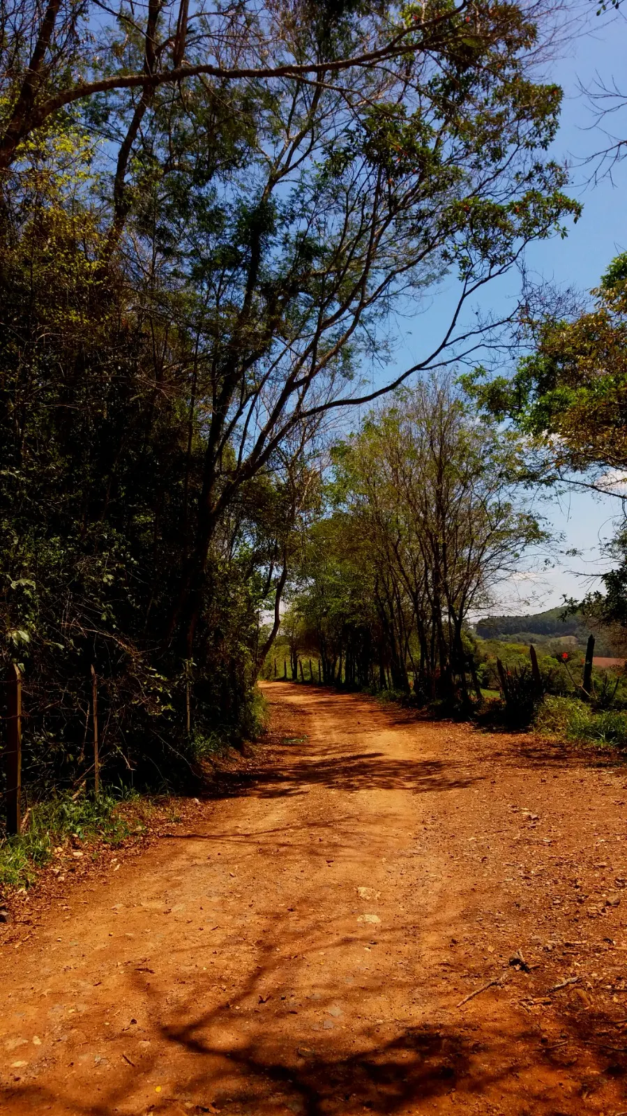 Sítio à venda de 27 ha em Queluzito, MG, Brasil