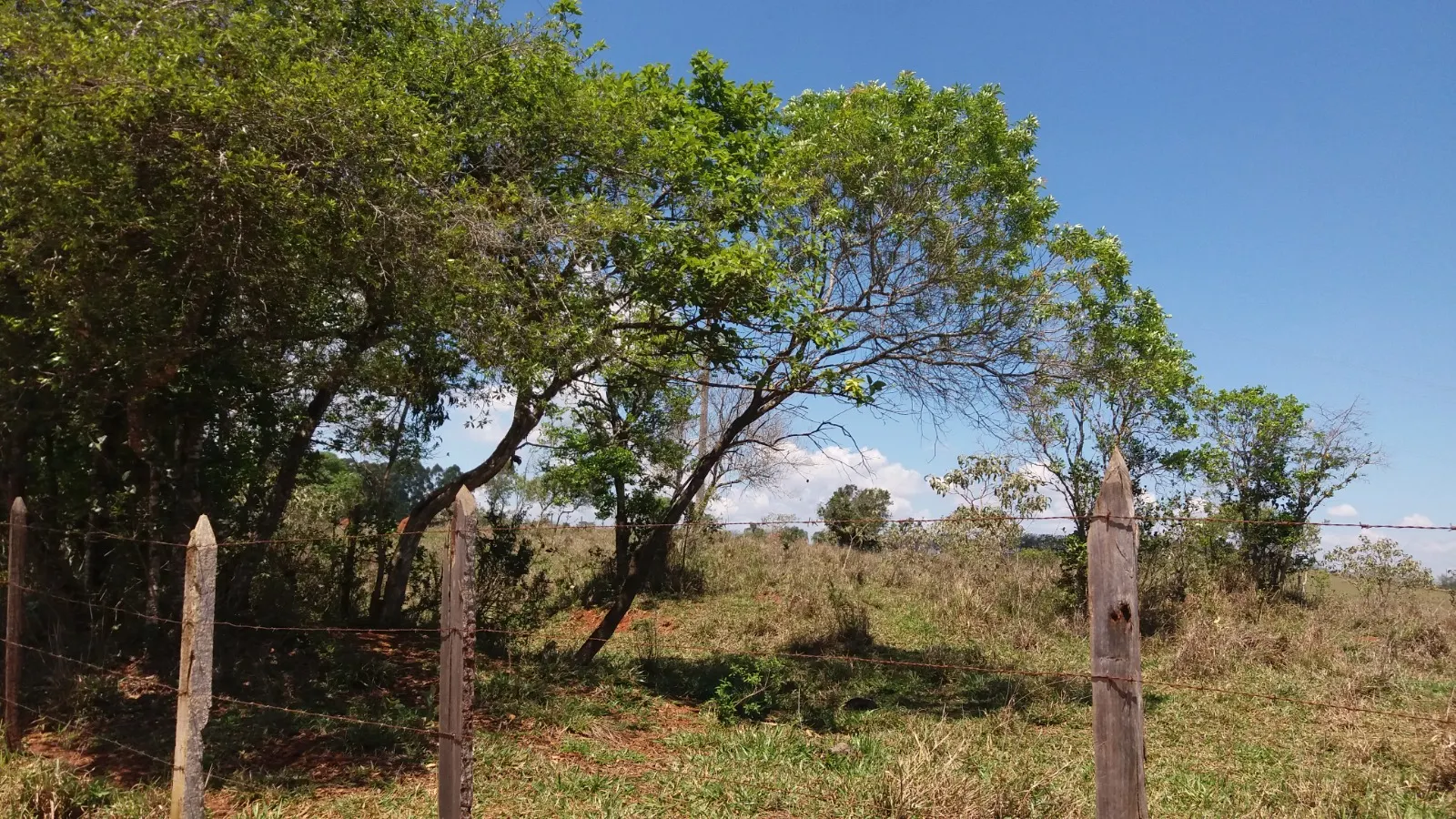 Sítio à venda de 27 ha em Queluzito, MG, Brasil