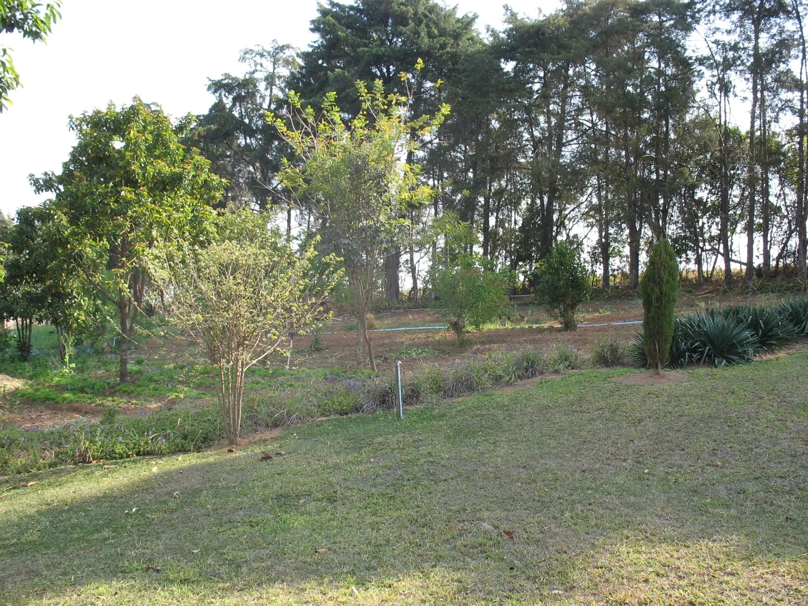 Sítio à venda de 27 ha em Queluzito, MG, Brasil