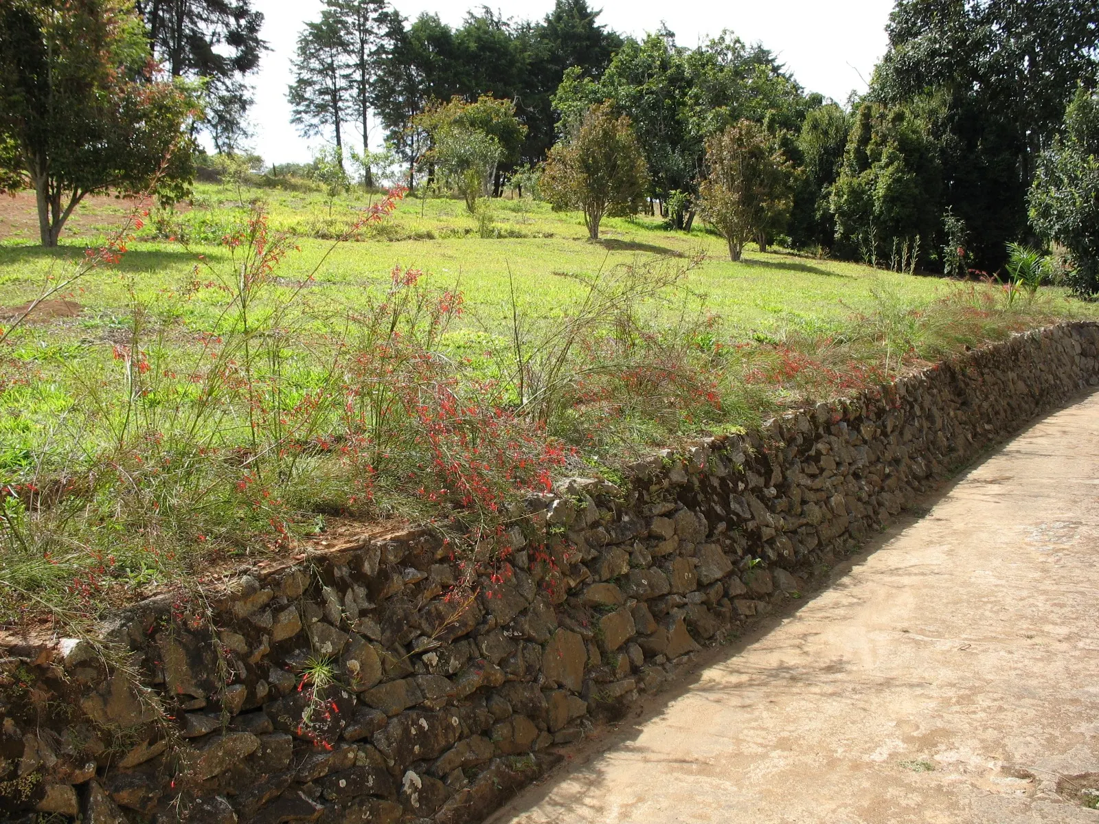 Sítio à venda de 27 ha em Queluzito, MG, Brasil