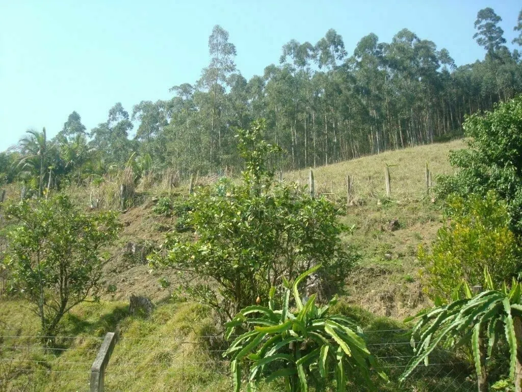 Country home for sale of 216 acres in Botuverá, SC, Brazil